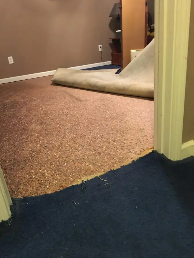 Carpet pad removal revealing water damage during Water Mitigation Services in Edgartown