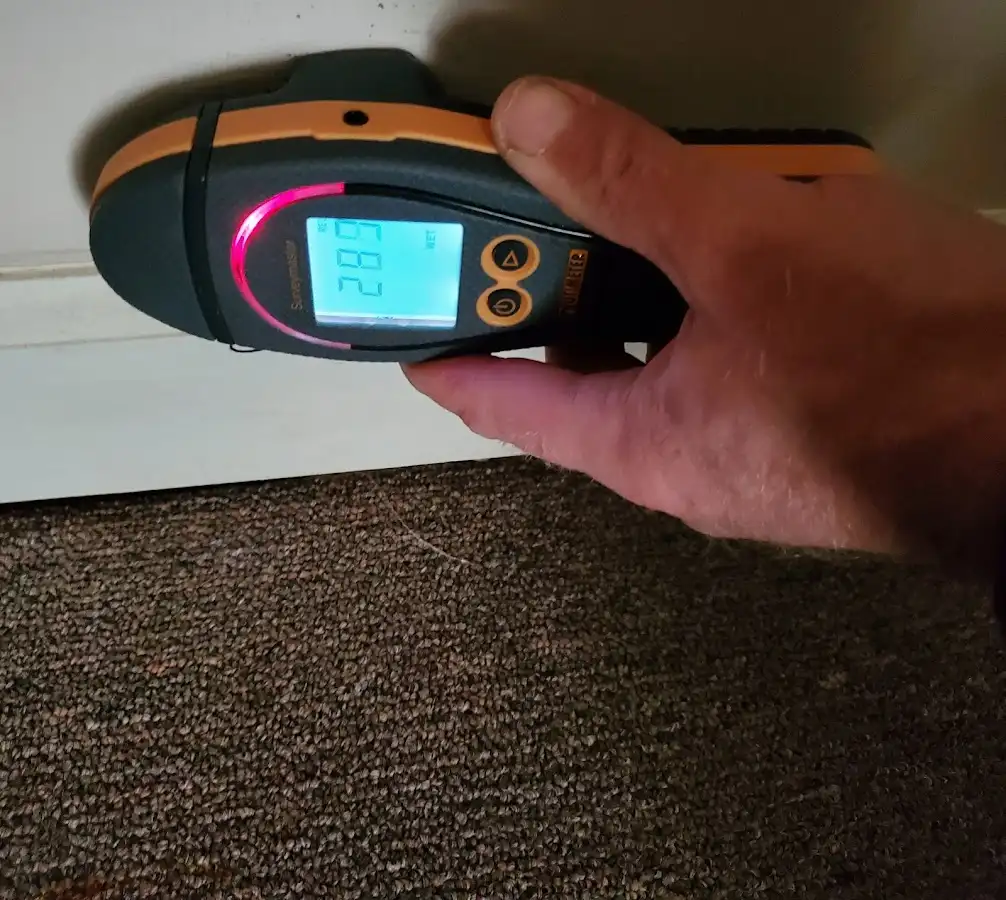 Moisture detection at baseboard during Mold Inspection & Testing in Edgartown